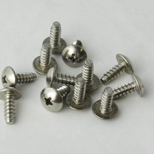 Screws, 12 pack