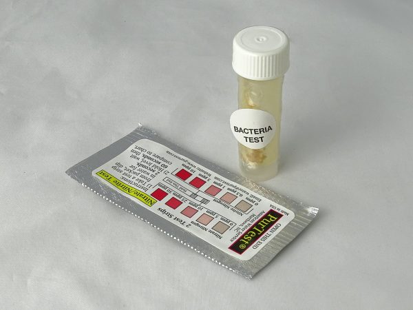 Bacteria & Nitrate/Nitrite Water Test, Pur Test (No Longer Available)