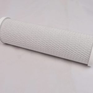 Filter, 10 micron carbon