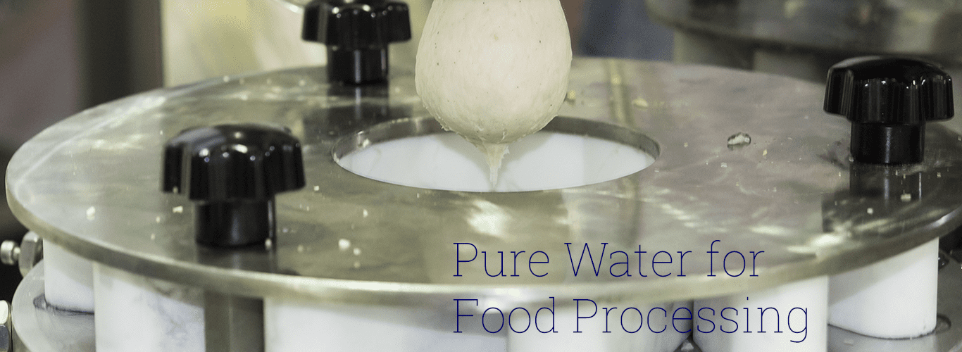 water for food processing